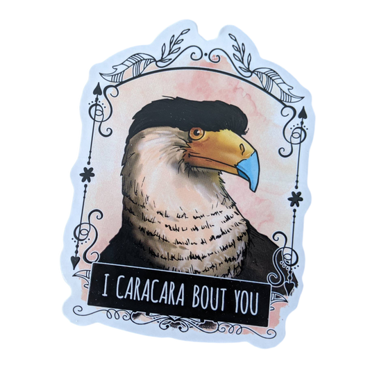 Sticker “I Caracara Bout You”