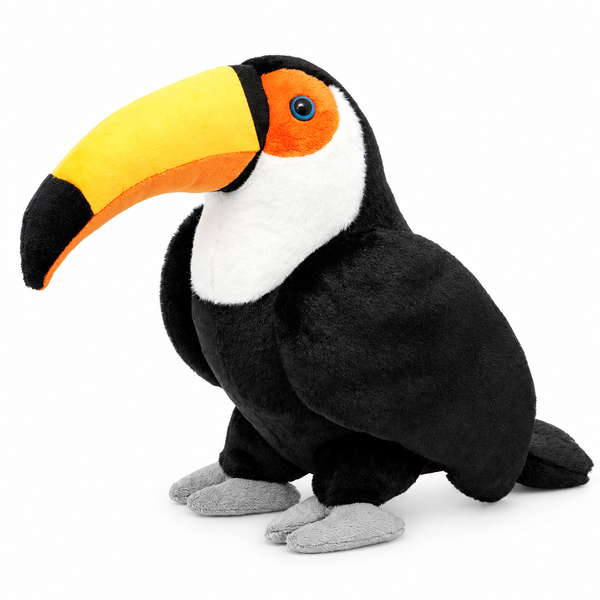 Tout sur Nature Toucan