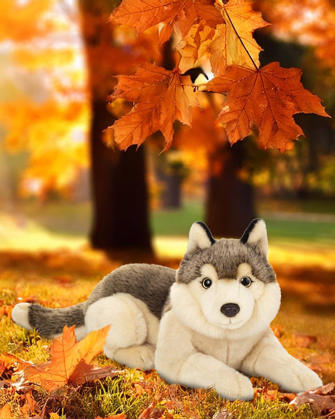 Knuffel van een slapende wolf