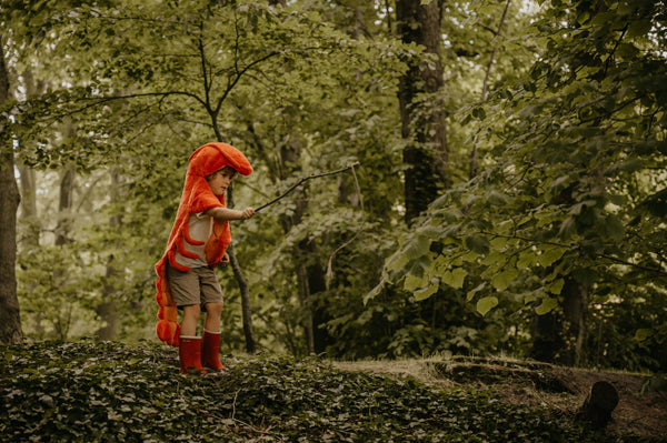 Déguisement Homard pour Enfants - Wild & Soft