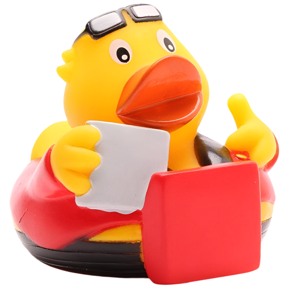 canard livreur de pizzas m e s