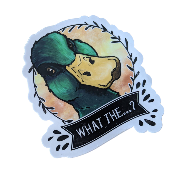 Mallard Duck Sticker “What the…?”