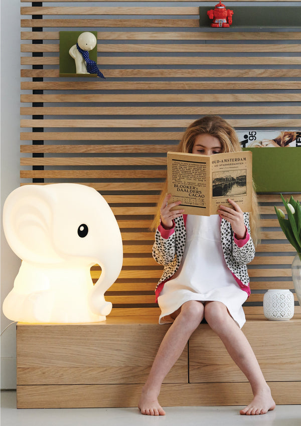 Ananan lamp