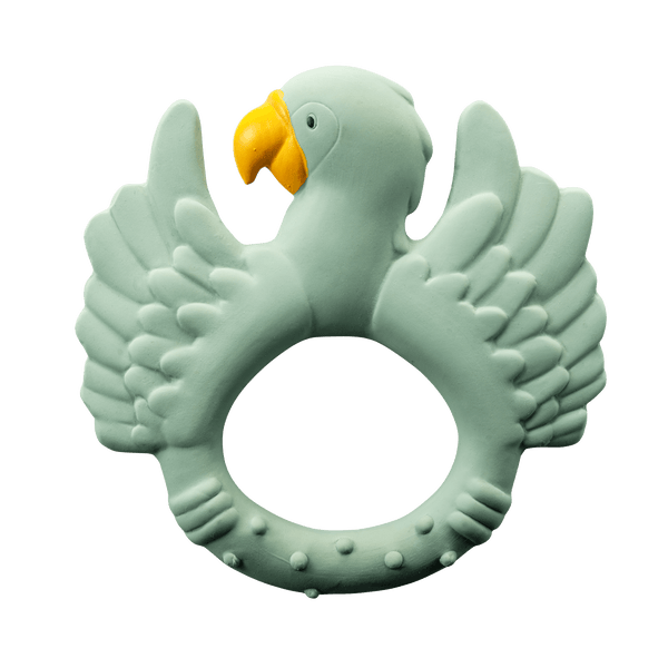 Green parrot dentition ring