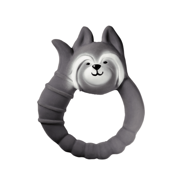 Raton washer dentition ring
