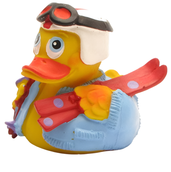 Skiing Duck