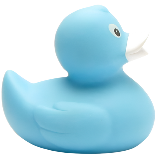 canard classique bleu ciel