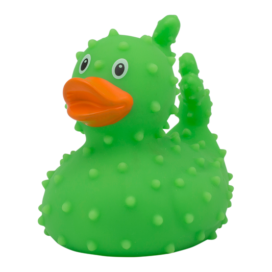 canard-cactus-lilalu