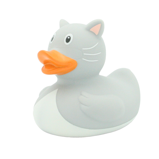 Chat duck