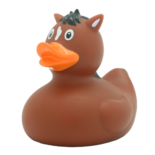 Canard Cheval