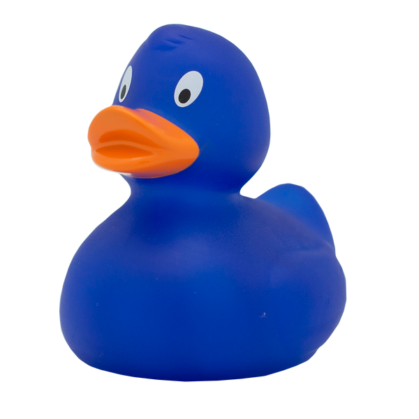 Classic blue duck