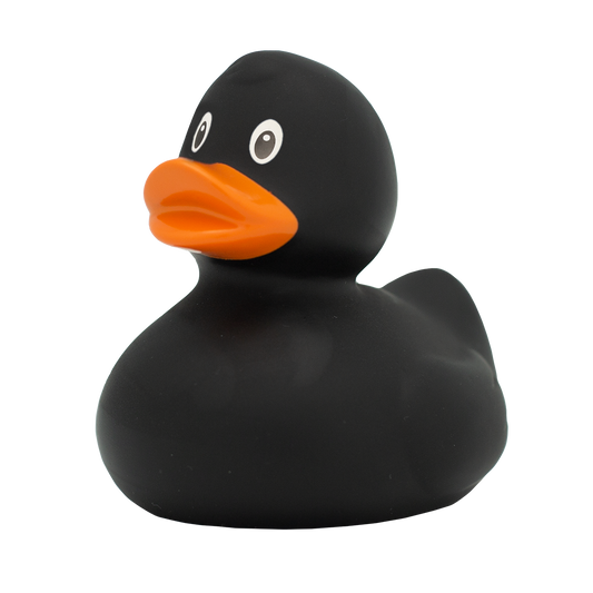 Classic black duck