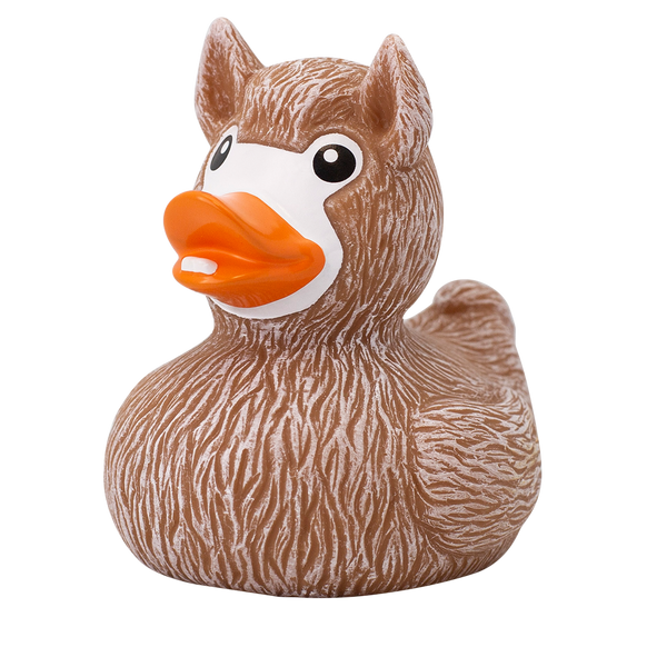canard-lama-lilalu