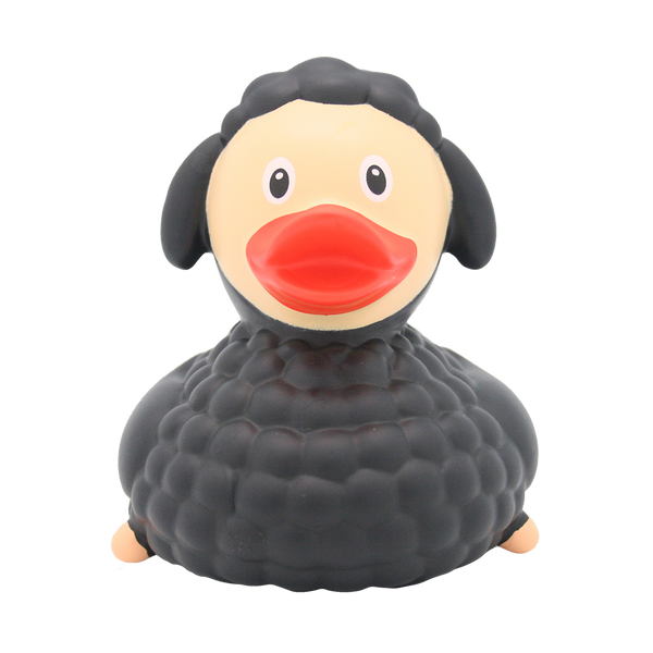 Black sheep duck