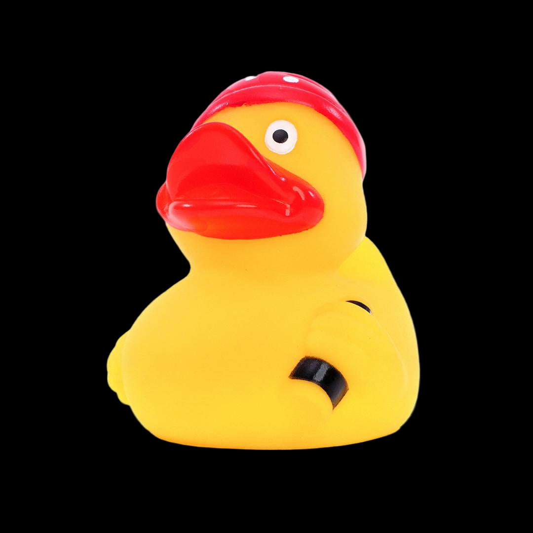 Canard Pirate Moussaillon