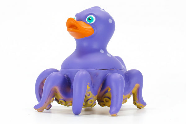 Octopus