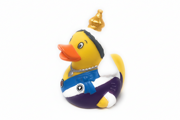 Duck Reine Victoria