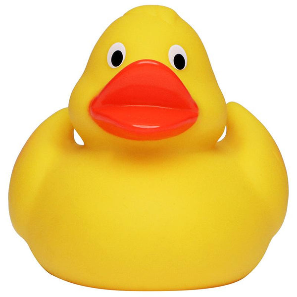 Canard de course S