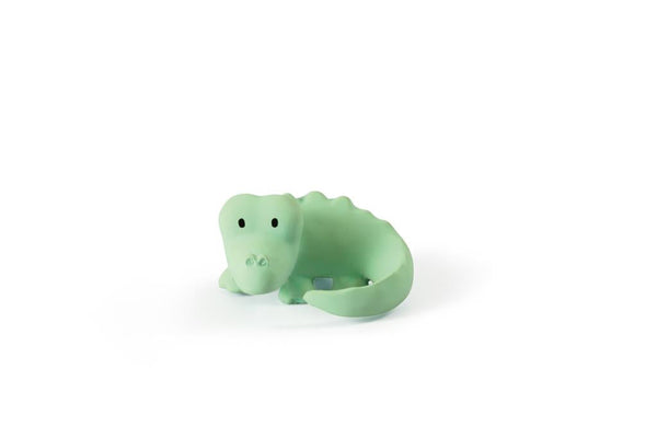 My first animal of the crocodile zoo