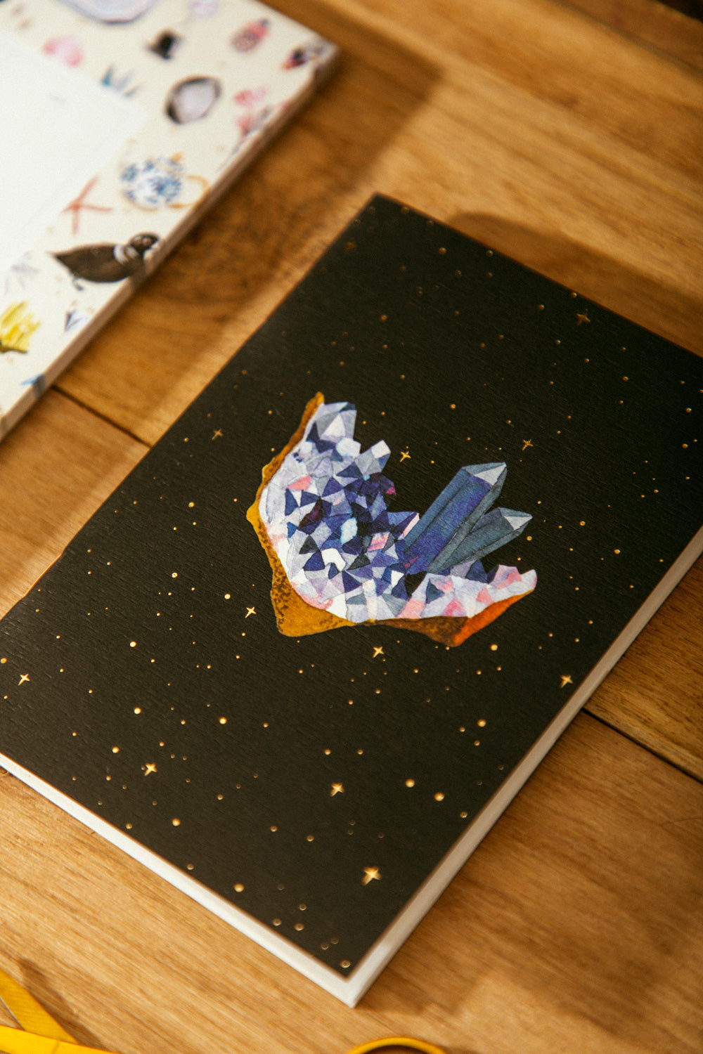 Curiosity - Duo de carnets de Poche A6