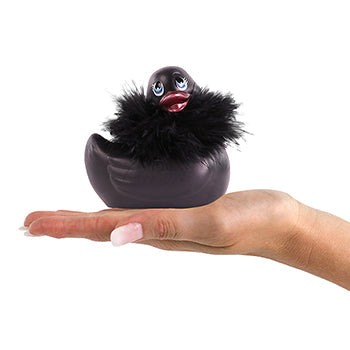 Black Paris Duck
