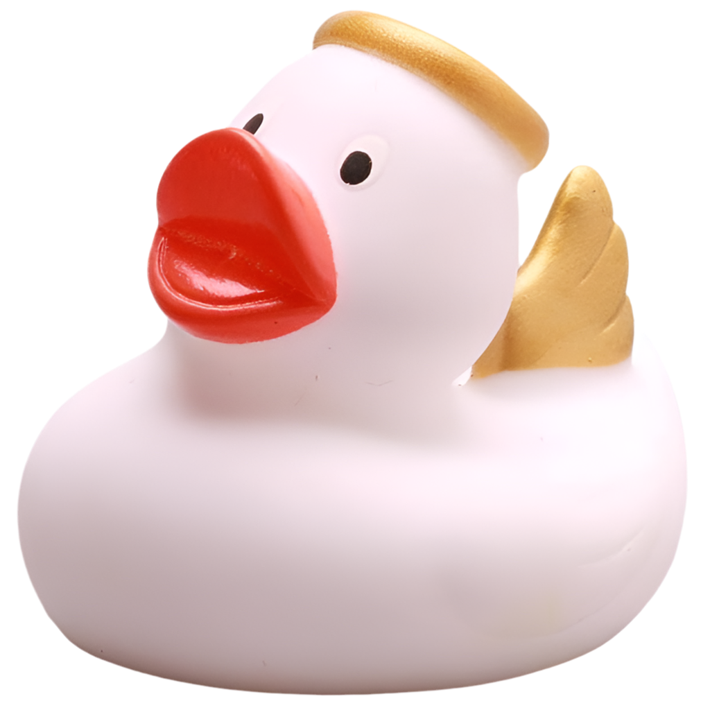 canard ange blanc