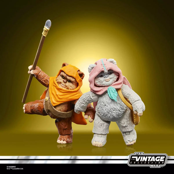 Star Wars De Vintage Collectie Wicket en Kneesaa