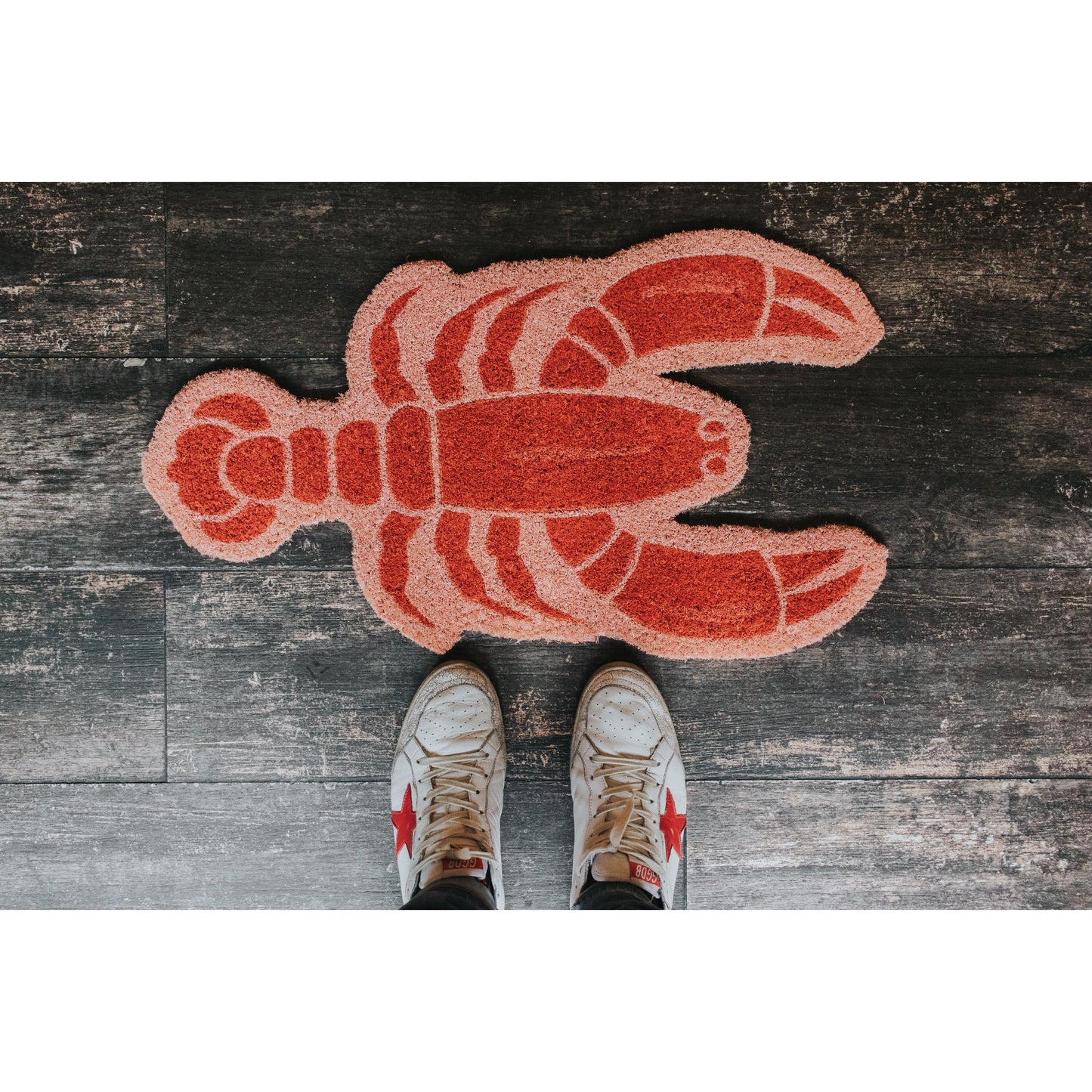 Paillasson Homard – Fisura – vue 3