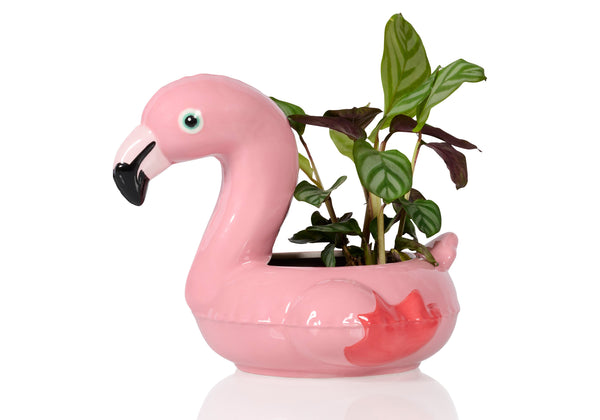 Pot Floaty Flamant Rose – Bitten