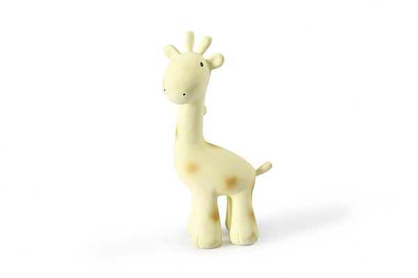 My first giraffe zoo animal