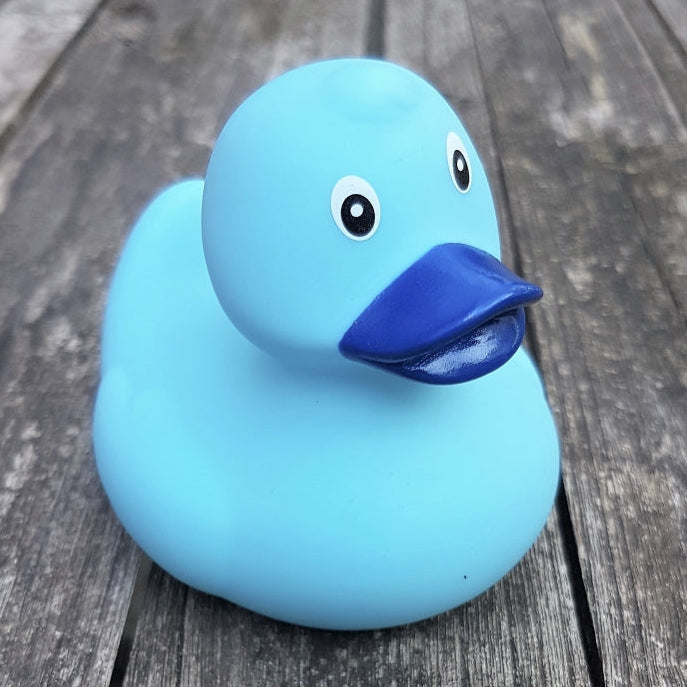 Canard Original Bleu