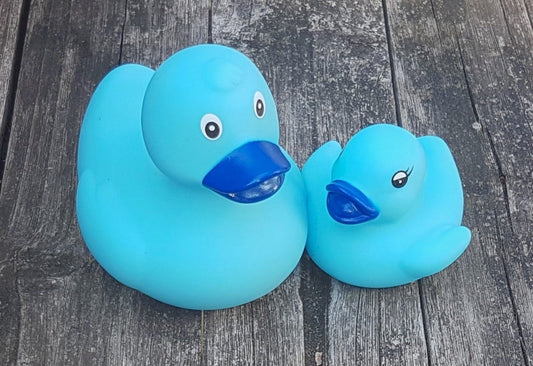 Originele blauwe eend