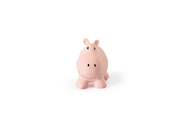 My first hippopotamus zoo animal