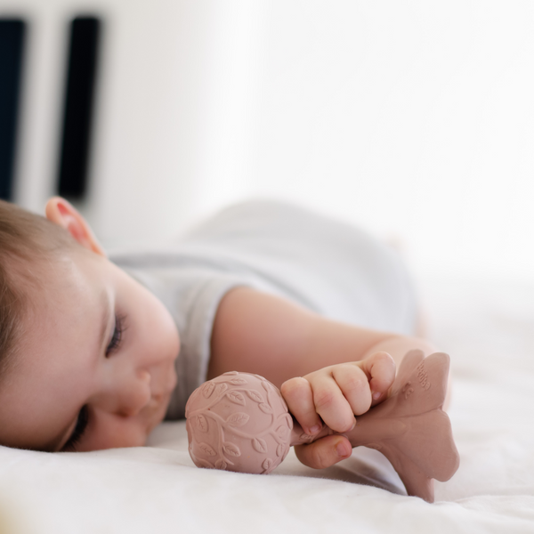 Rose plumeria rattle