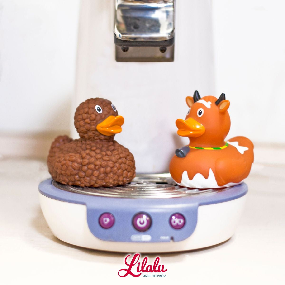 Canard Vache Marron