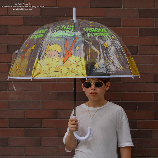 The World's Only Transparent Umbrella
