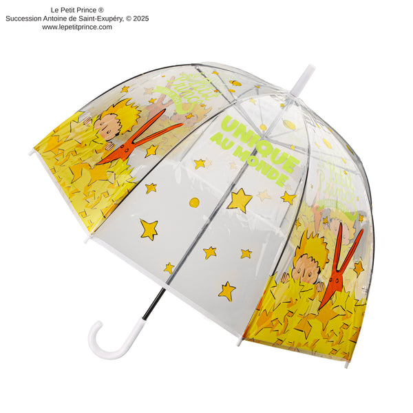 The World's Only Transparent Umbrella