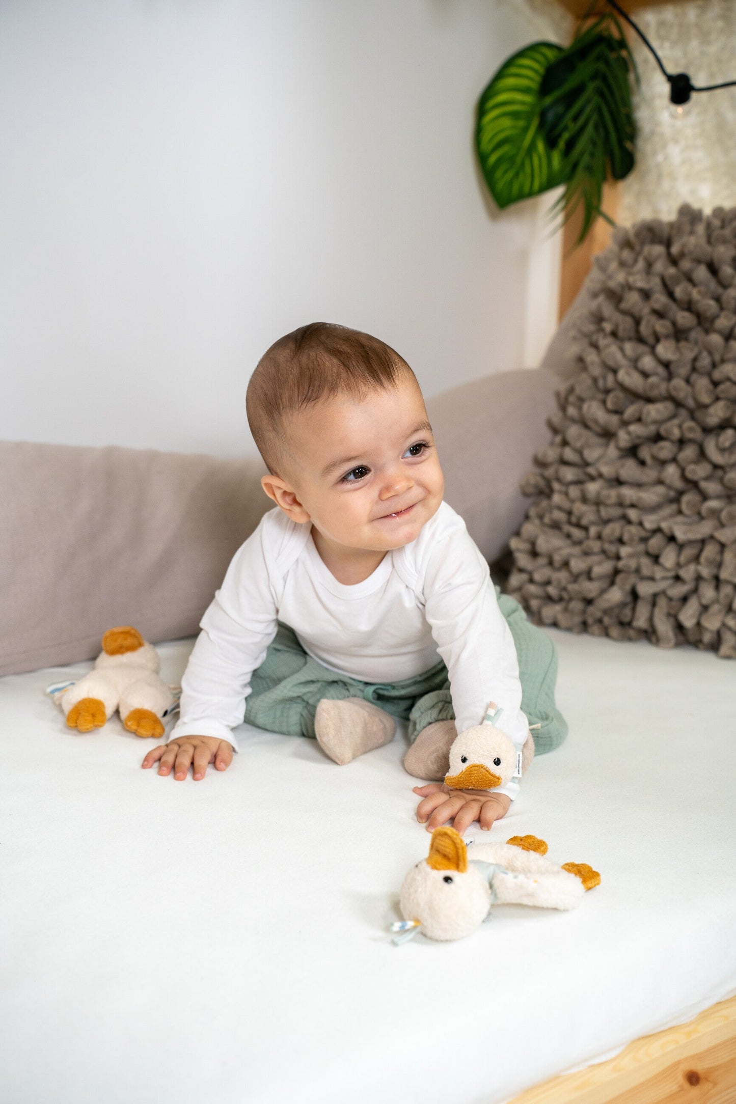 Plush S