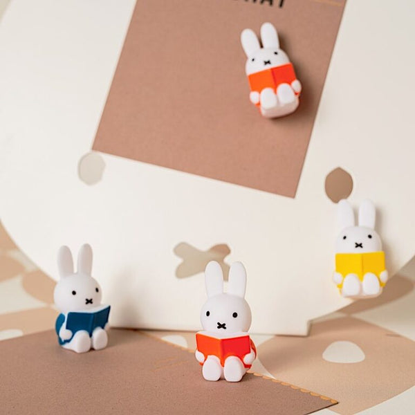 Magnets Lapin Miffy Livre