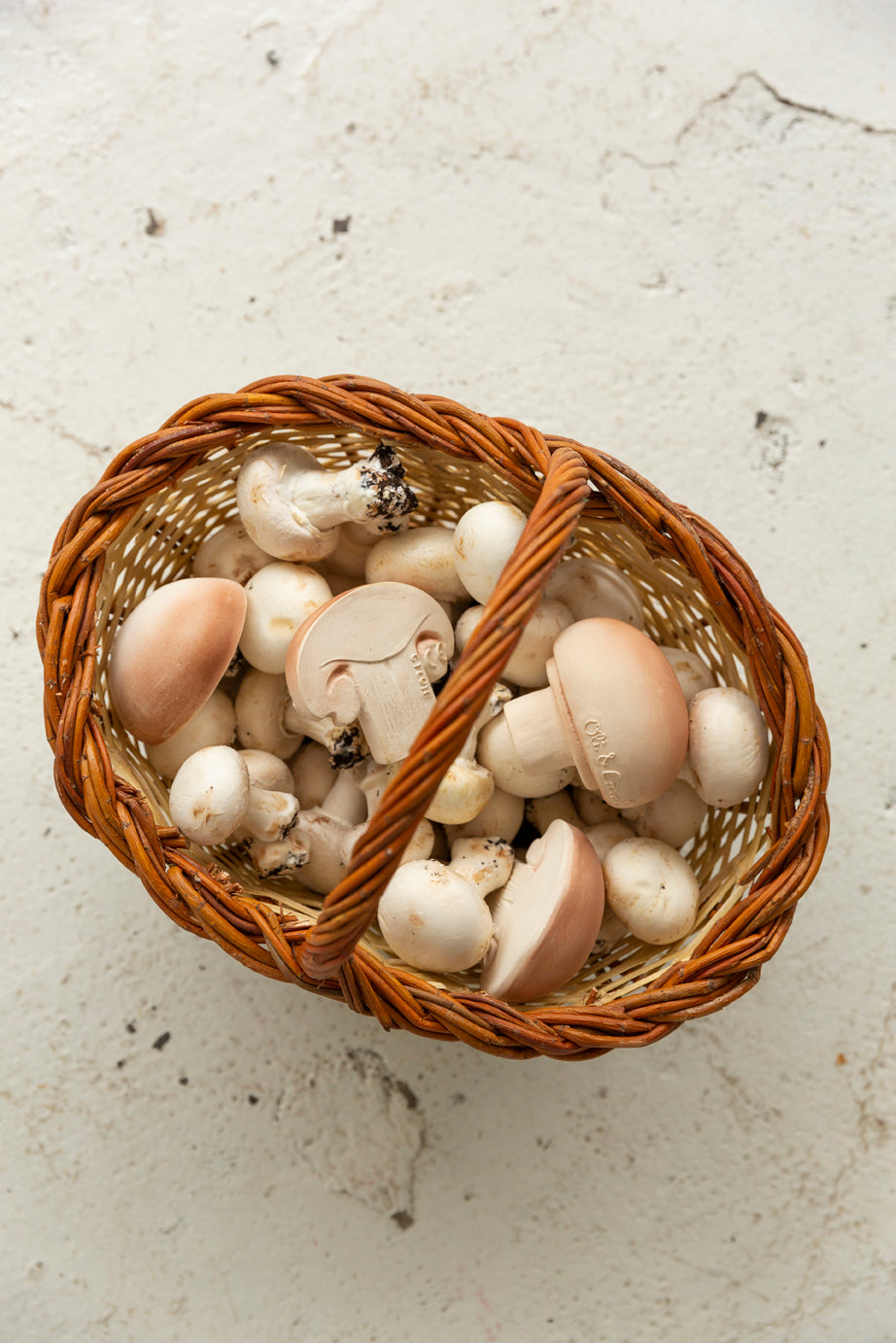 Produit Manolo Le Champignon Kawaii