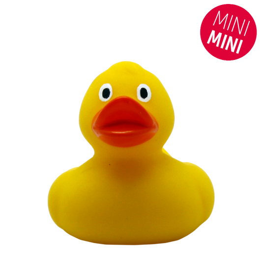 mini-canard-jaune-lilalu