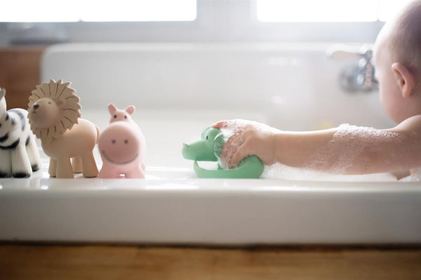 My first hippopotamus zoo animal