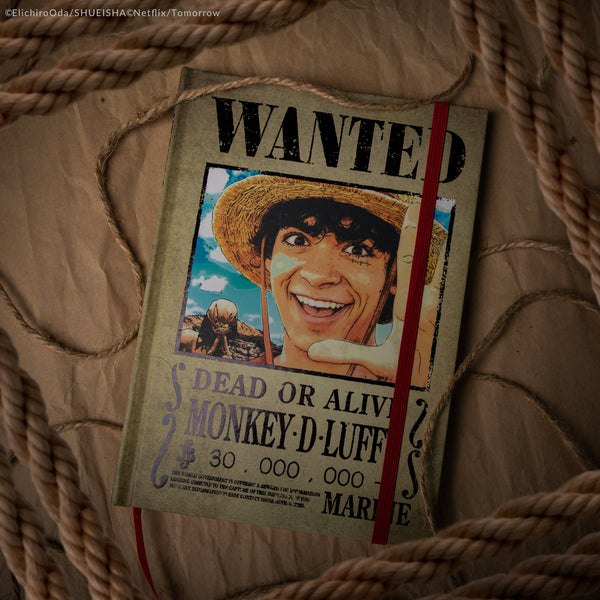Wanted Booklet