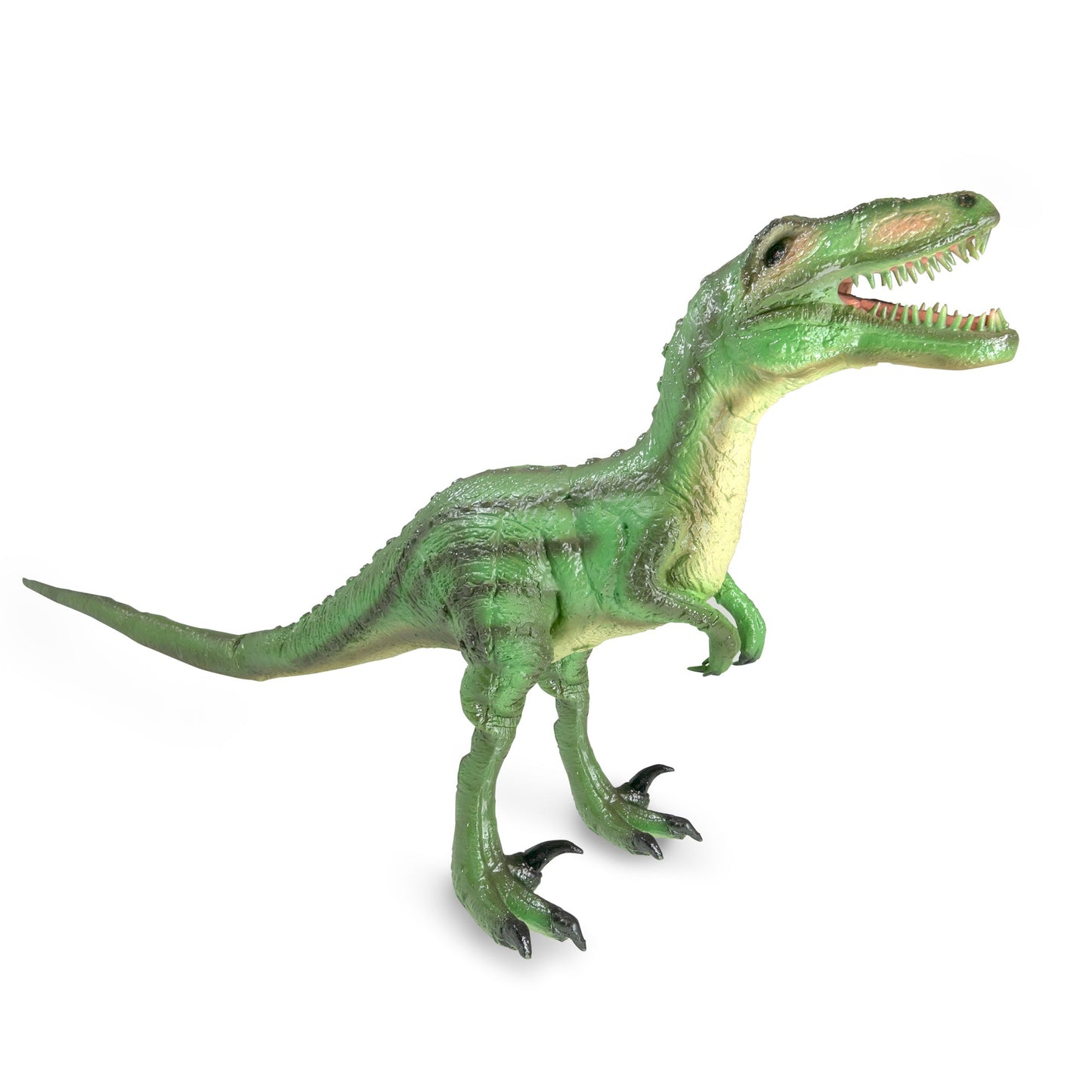 LARGE VELOCIRAPTOR DINOSAUR