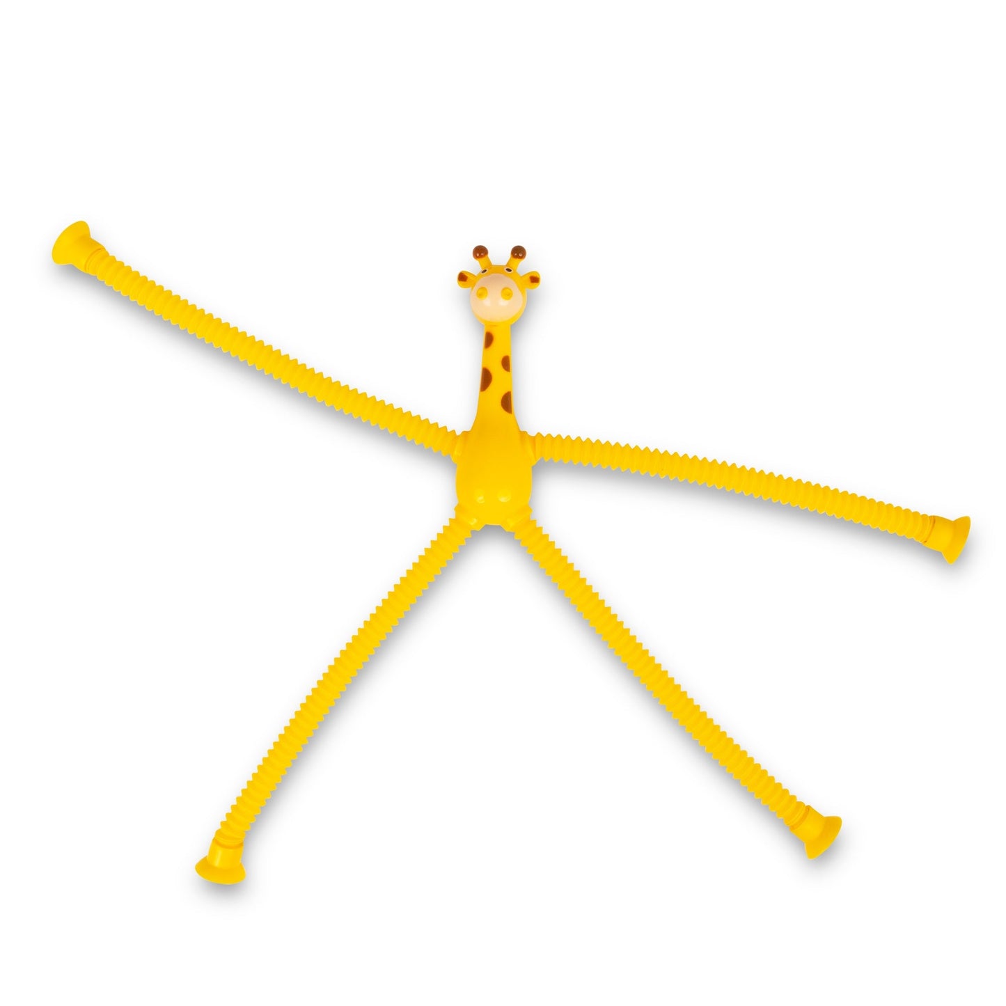 ASSORTMENT OF POP ANIMAL TUBES