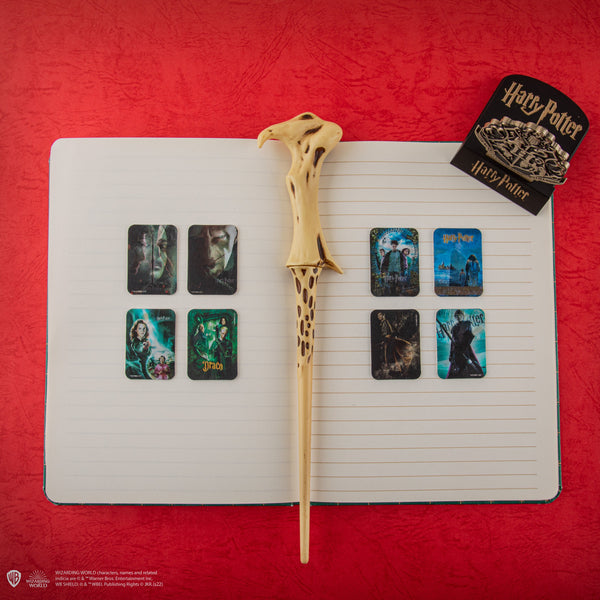 Harry Potter Lenticular Posters