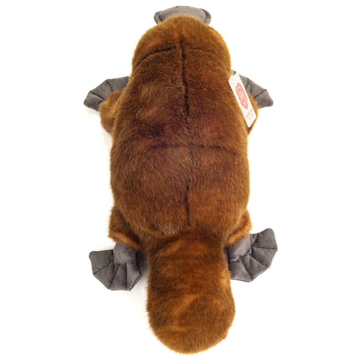 Peluche Ornithorynque – 35 cm
