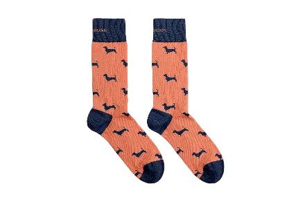 Dachshund Socks