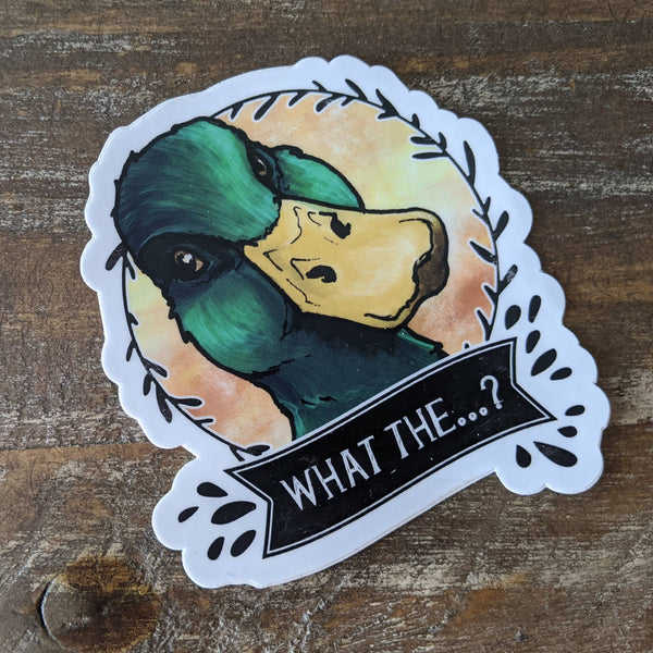 Mallard Duck Sticker “What the…?”