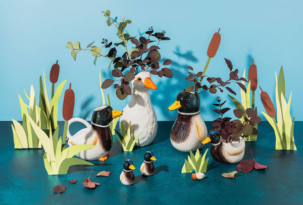 Mallard Watering Can